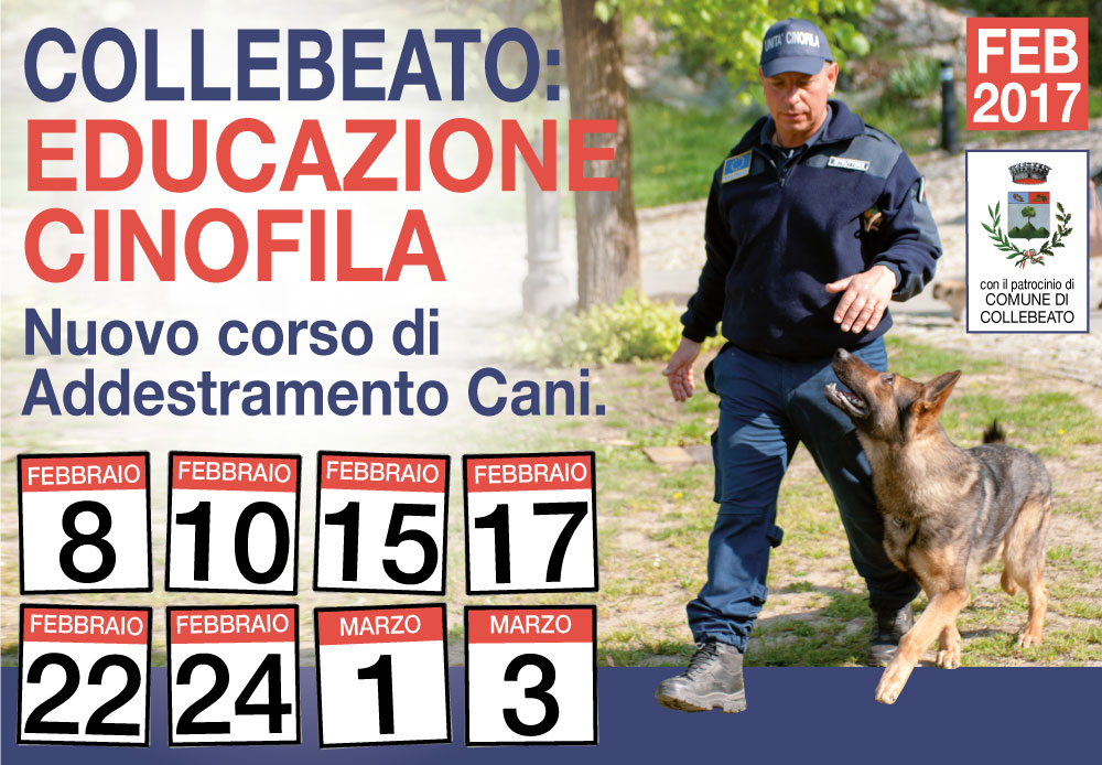 Collebeato (concluso) AndreaGrisi Doctor Dog Addestramento Cani