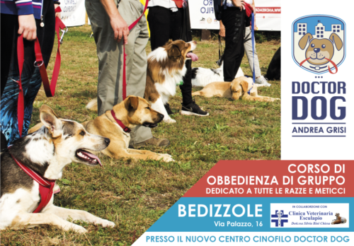 Bedizzole 7-30 gennaio e 12 gennaio-2 marzo (sabato)