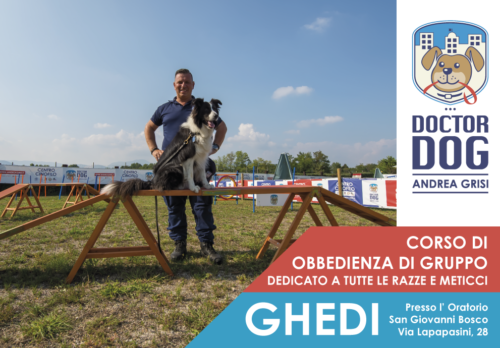 Ghedi (Brescia) 7 - 30 maggio