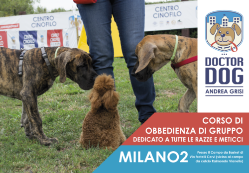 Corso di addestramento cani a Milano 2 - 13 maggio-5 giugno