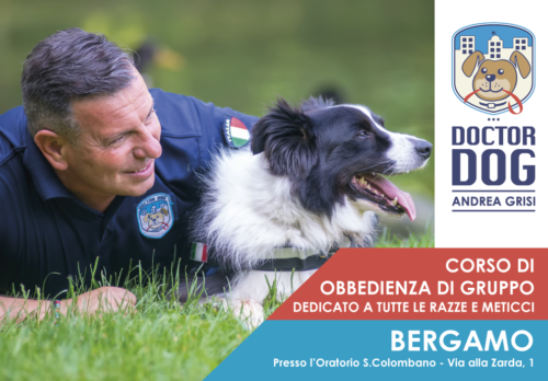 Bergamo dall'11 giugno al 4 luglio