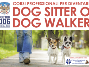 Corso di formazione per dog sitter e dog walker a Bedizzole