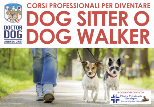 Corso di formazione per dog sitter e dog walker a Bedizzole