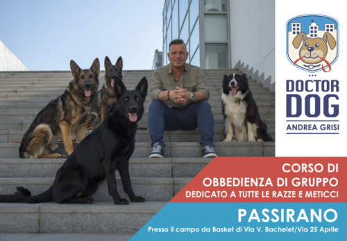 Passirano dal 27 agosto al 19 settembre