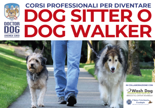Corso di formazione per dog sitter e dog walker