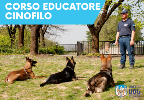 Corso Educatore Cinofilo riconosciuto da REGIONE LOMBARDIA