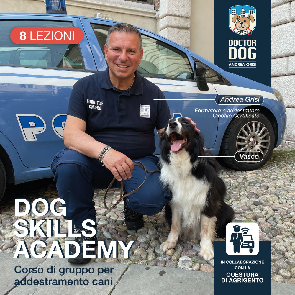 DOG SKILLS ACADEMY