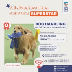DOG HANDLING - DOCTOR DOG - ANDREA GRISI